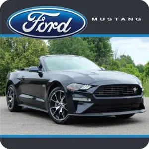 Top section: A charcoal grey banner with a thin blue accent line. It features the classic blue and silver Ford oval logo on the left and the word "MUSTANG" in white, spaced-out capital letters on the right. Bottom section: A high-resolution photograph of a black Ford Mustang convertible. The car is parked on asphalt with lush green trees in the background. It is shown from a front-three-quarter angle, showcasing its sleek design, open top, and signature pony emblem on the grille.